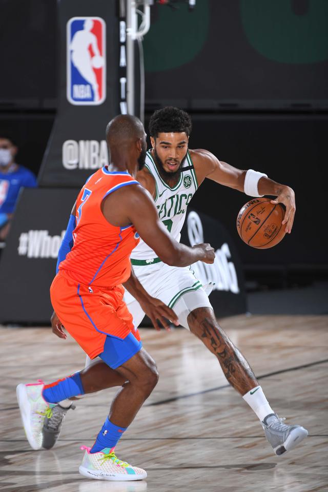 舍夫勒揭示 舍夫勒揭示