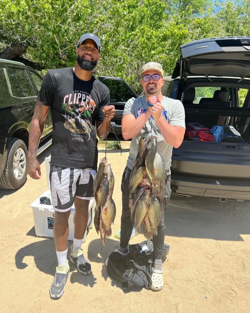 的目光再次 的目光再次