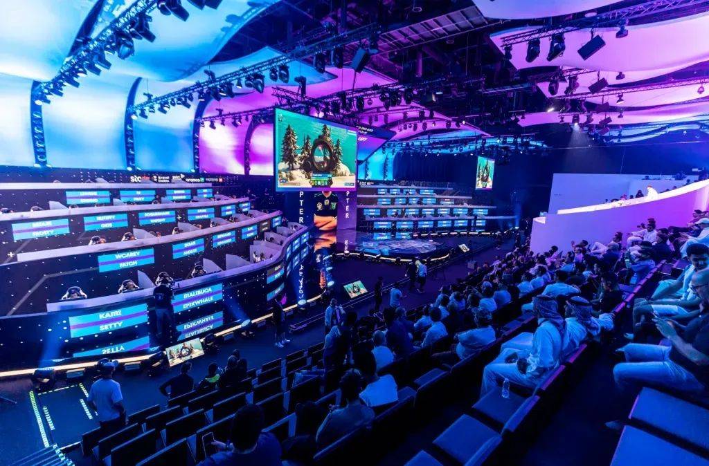 的独到见解 的独到见解