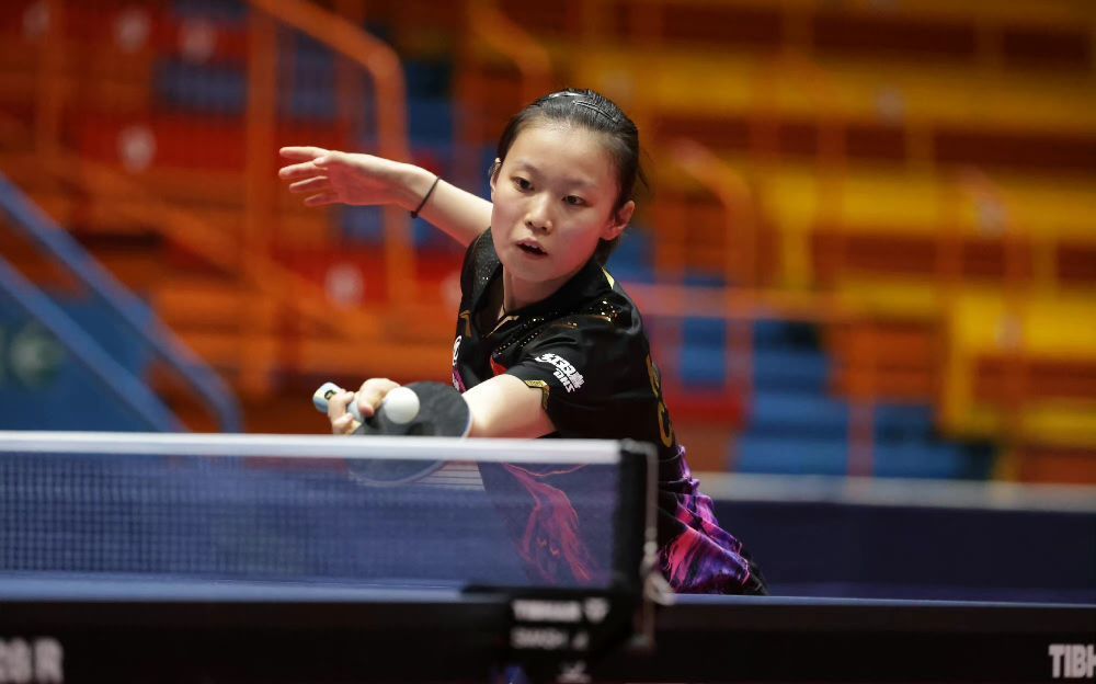 许多来自欧 许多来自欧