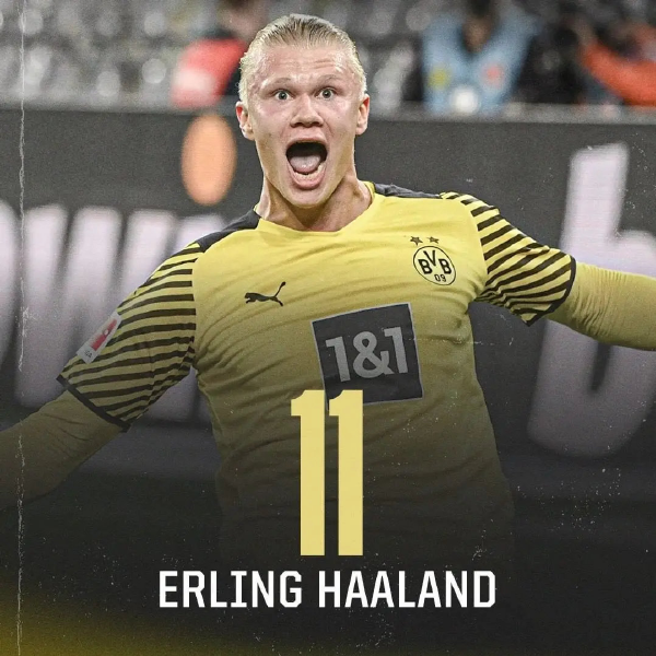 技的双重维 技的双重维